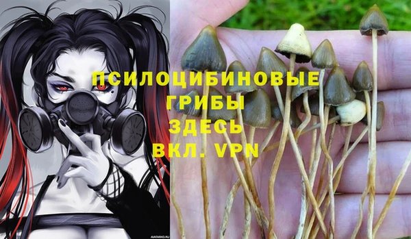 героин Лагань