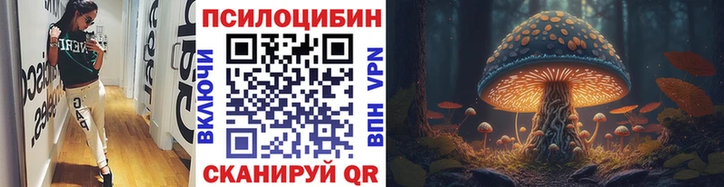 Псилоцибиновые грибы Psilocybine cubensis  Городище 
